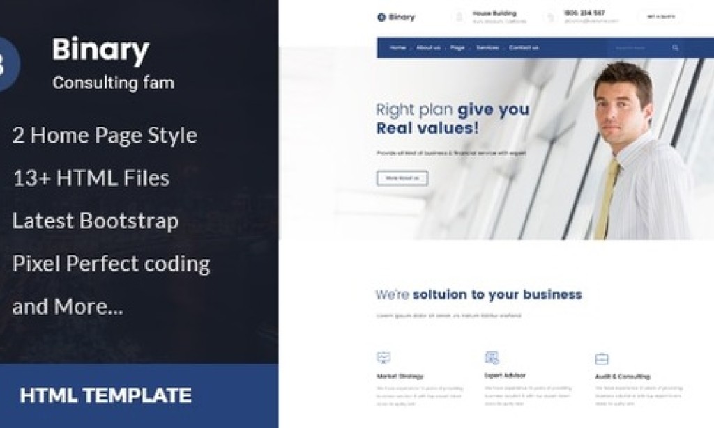 Binary – Business Consulting and Professional Services HTML Template