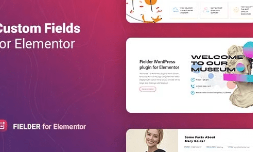 Fielder v1.0 – WordPress Custom Fields for Elementor Add-on