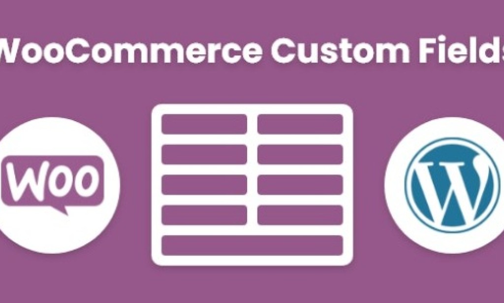 WeasyFields v1.0 – WooCommerce Custom Fields for Products Plugin