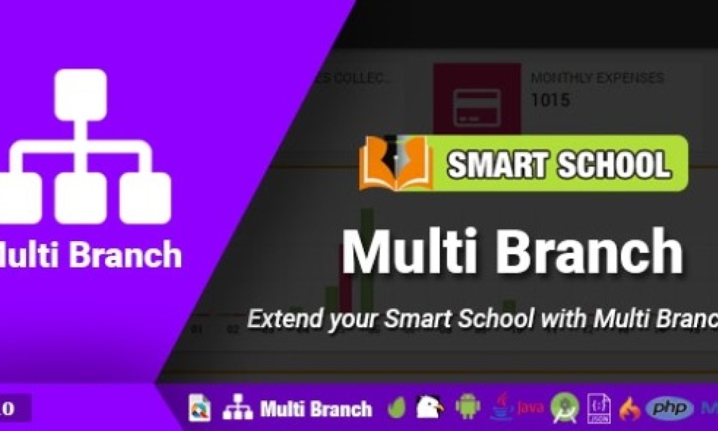 Smart School Multi Branch v1.0 – Addon